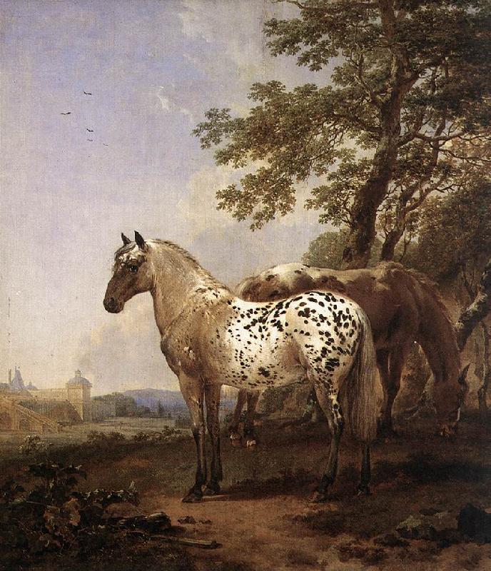 BERCHEM, Nicolaes Landscape with Two Horses china oil painting image
